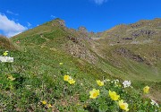 28 Sul sent. 109 per i Laghi di Ponteranica